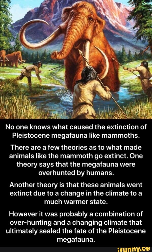 No one knows what caused the extinction of Pleistocene megafauna like ...