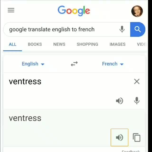 excellent in french google translate