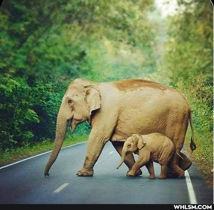mom, baby, beautiful
