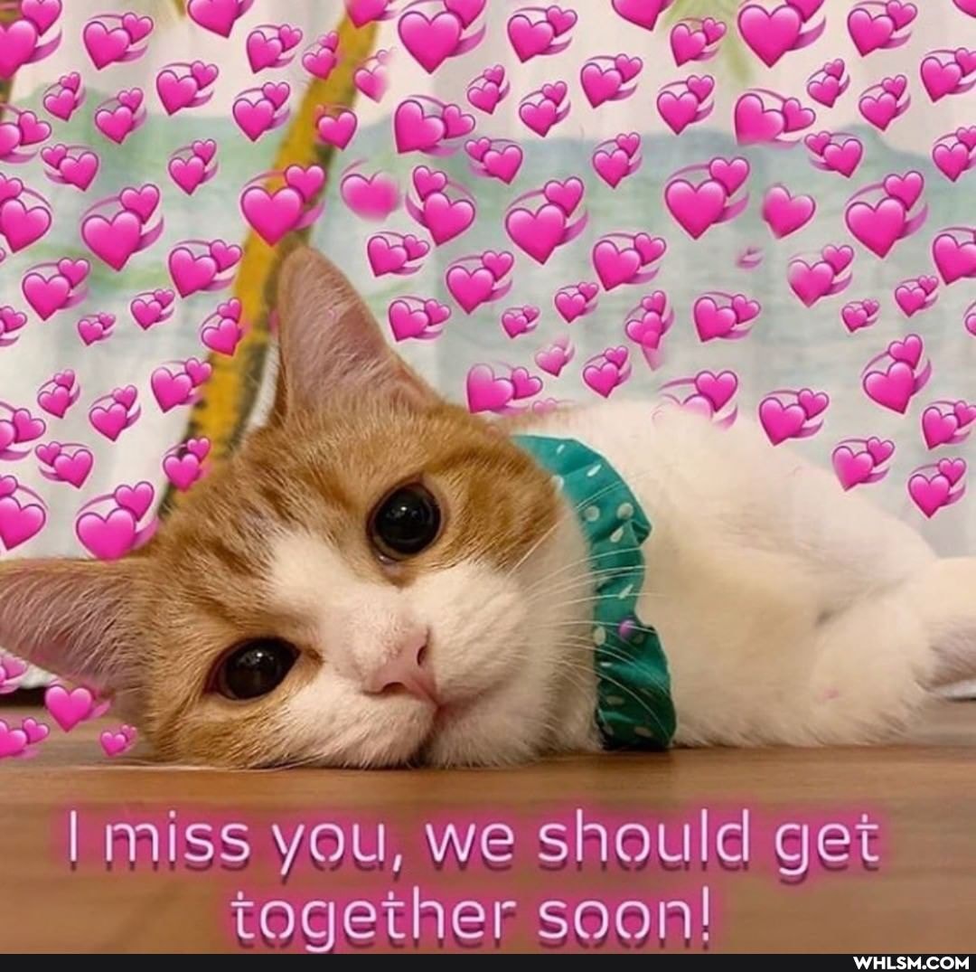 rocerher coon!
miss you, we should get