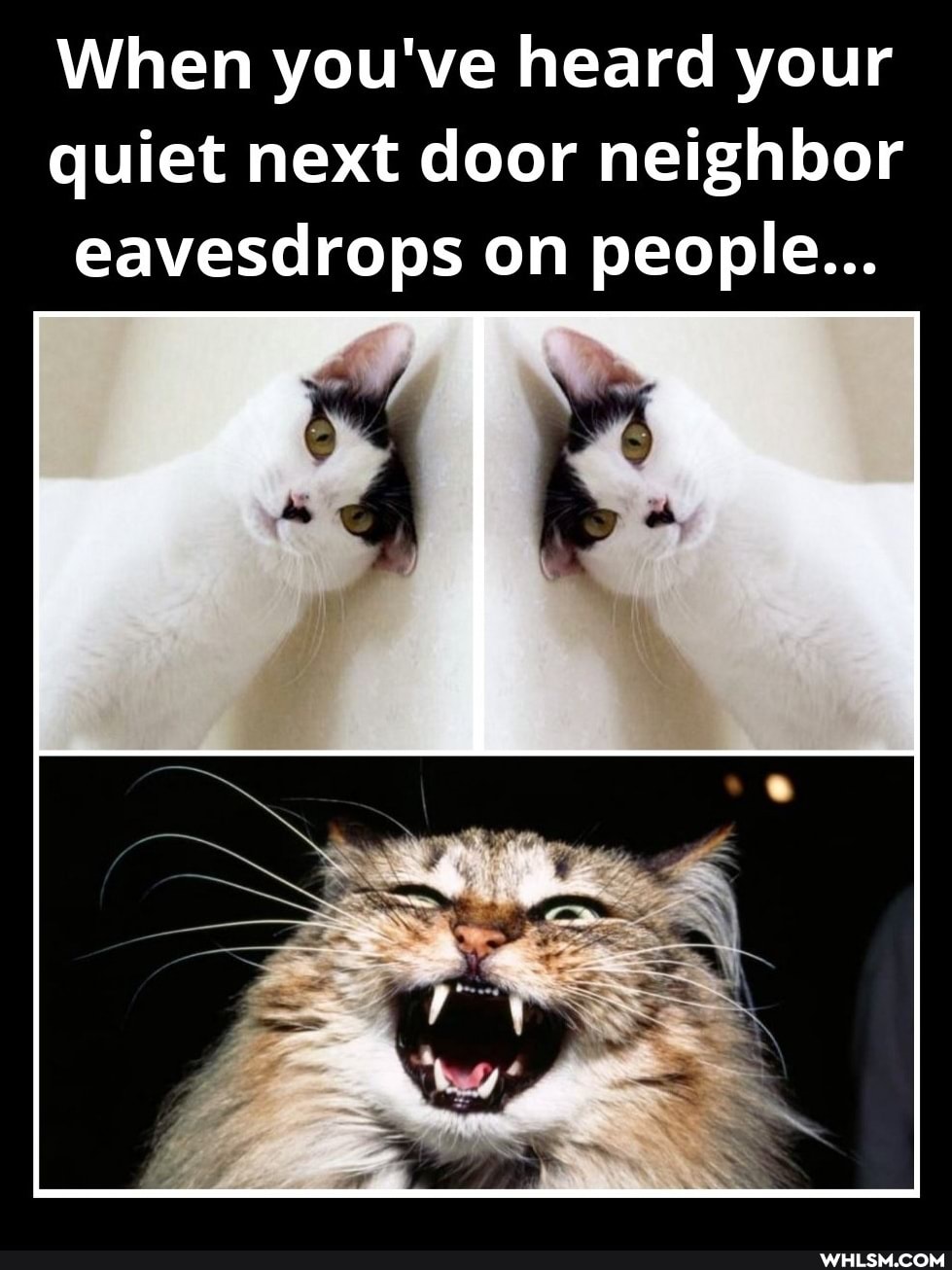 When you've heard your quiet next door neighbor eavesdrops on people...