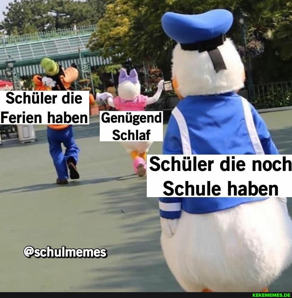 Schdler die
Ferien haben
Schlaf
Schüler die noch
- Schule haben
@schulmemes