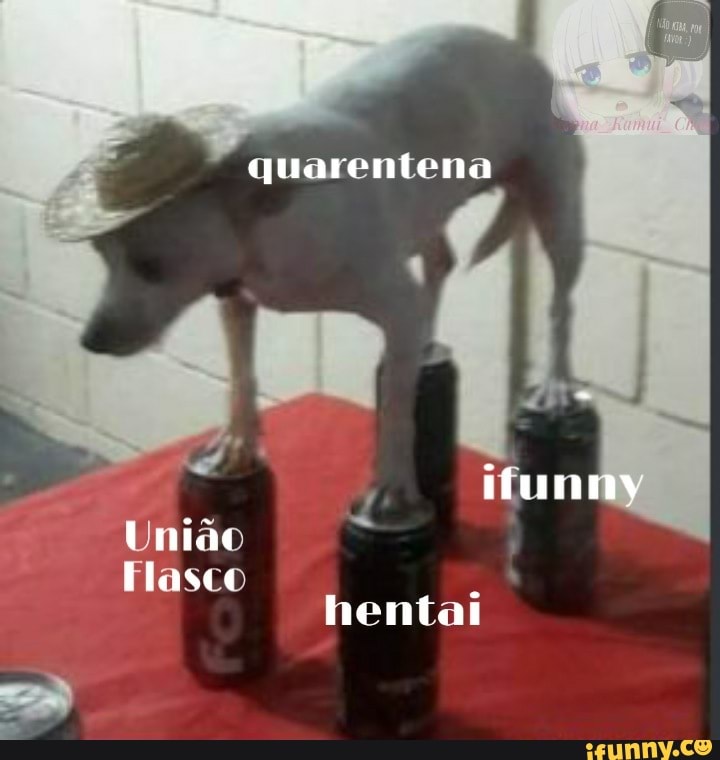 quarentena