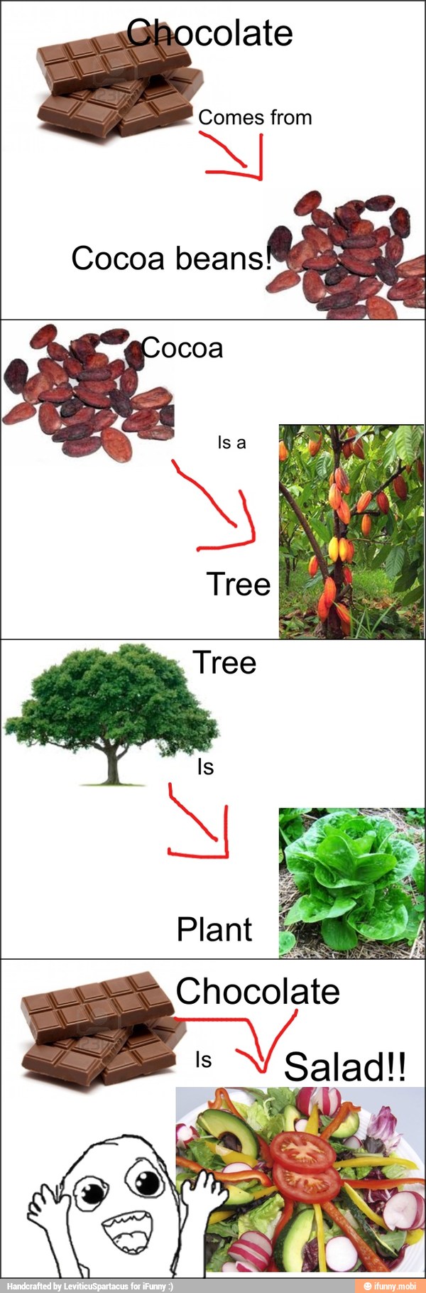 colate
Comes from
NI
Cocoa beans!