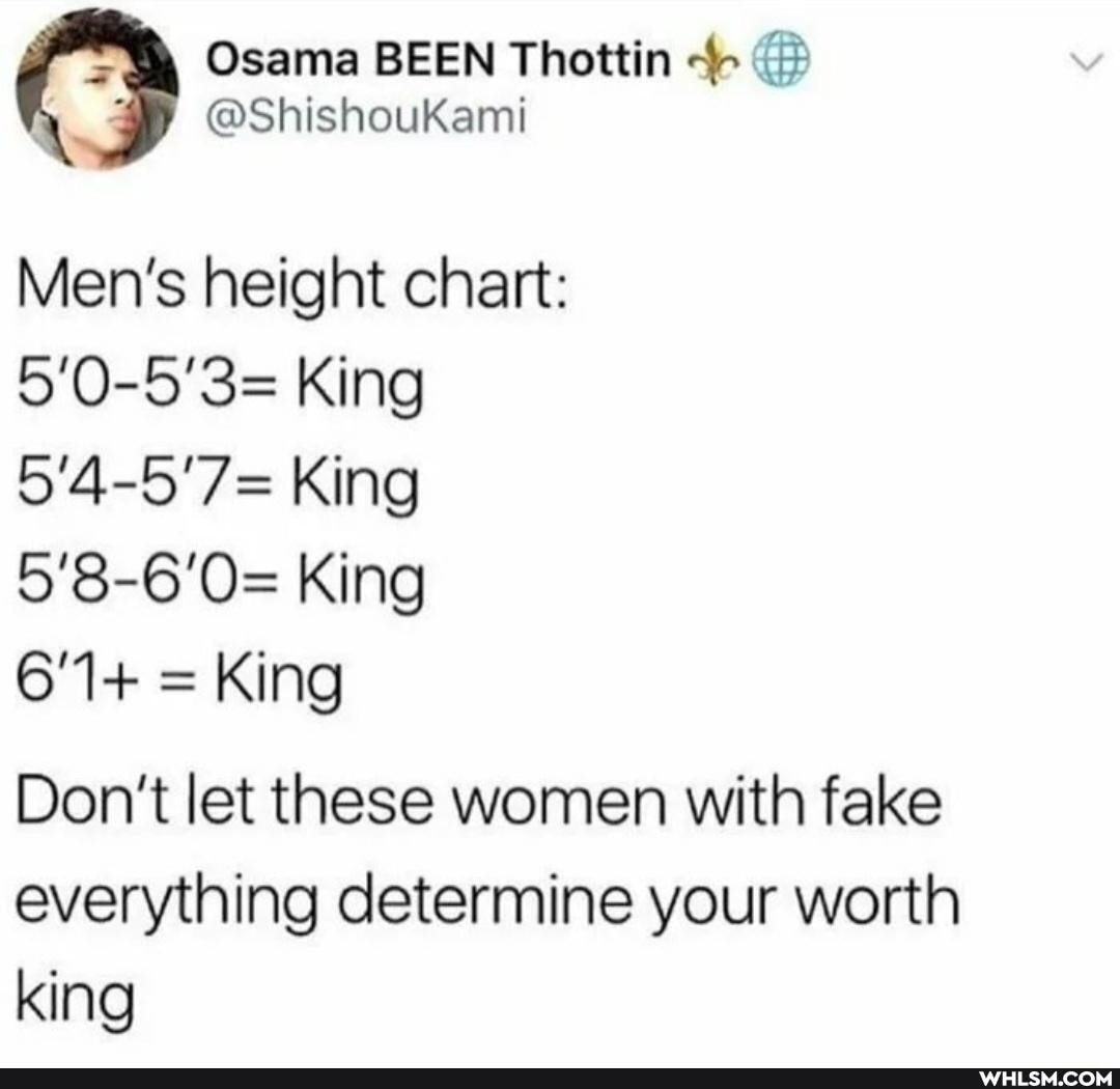 BEEN Thottin
@Shishoukami
Men's height chart:
5'0-5'3= King
5'4-5'7= King
5'8-6'0= King
6'1+ = King
Don't let these women with fake everything determine your worth king
