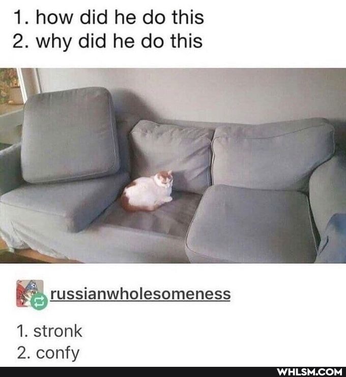 1. how did he do this
2. why did he do this
russianwholesomeness
1. stronk