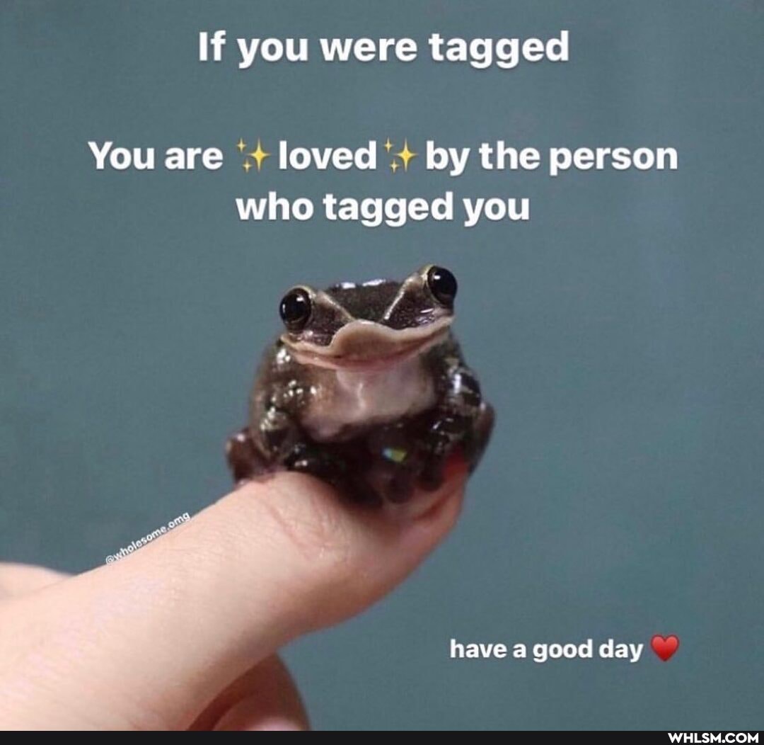 If you were tagged
You are loved by the person who tagged you
of-
have a good day