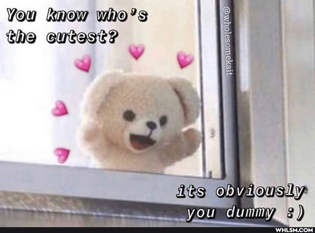 You knew who
Che cutest?
you dummy