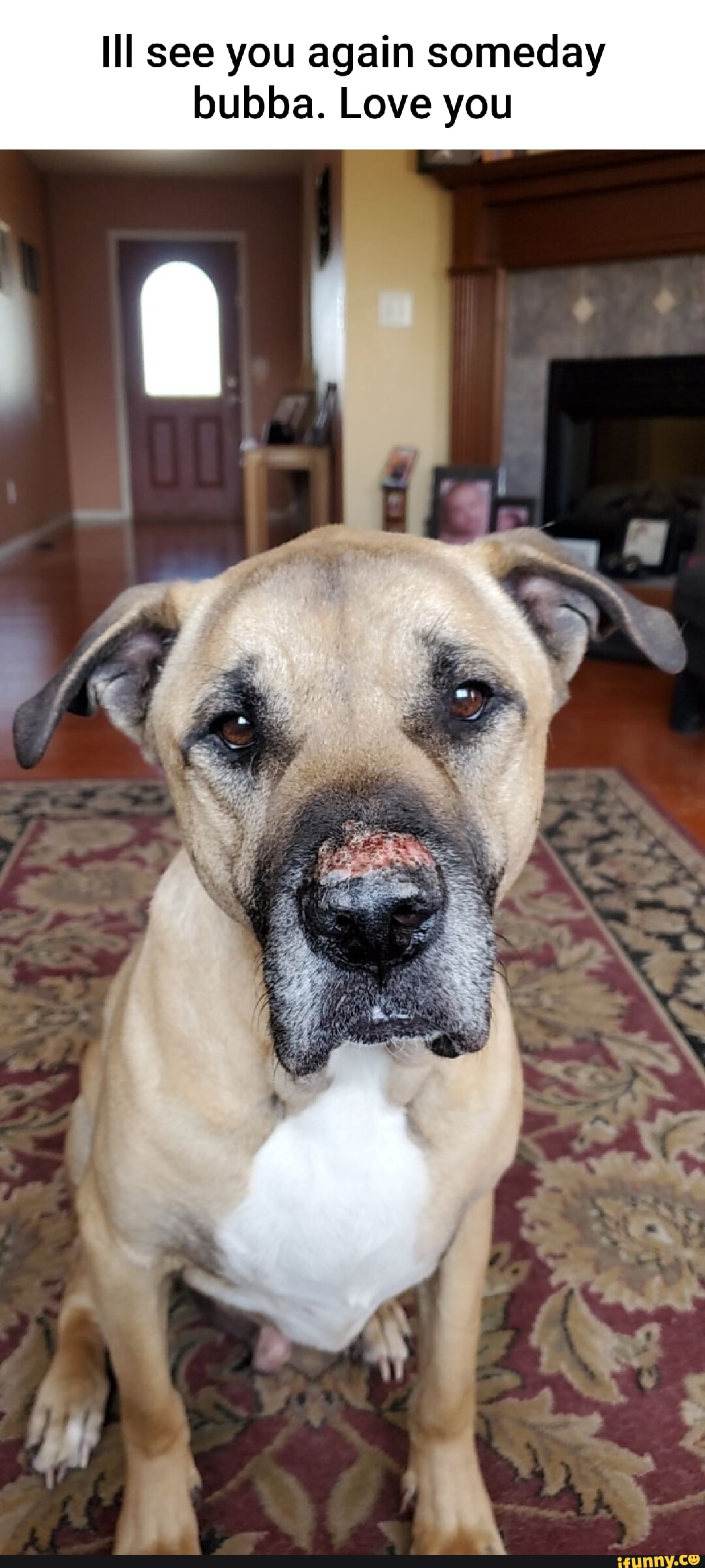 WHAT IF WE PUT OUR MINECRAFT BEDS TOGETHER? JUST KIDDING!...HAHA UNLESS