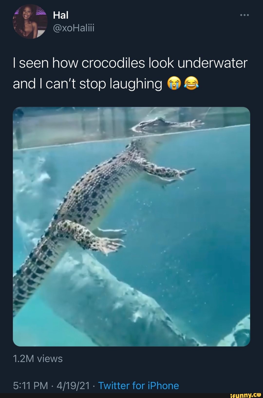 - Hal @xoHaliii I seen how crocodiles look underwater and can't stop ...