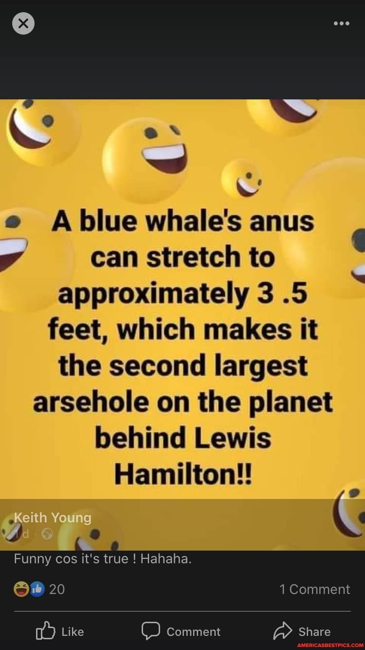 ~w .
A blue whale's anus can stretch to approximately 3 .5 feet, which makes it the second largest arsehole on the planet behind Lewis
Hamilton!
Young
Funny cos it's true ! Hahaha.
20 1 Comment
Like C_) comment Share