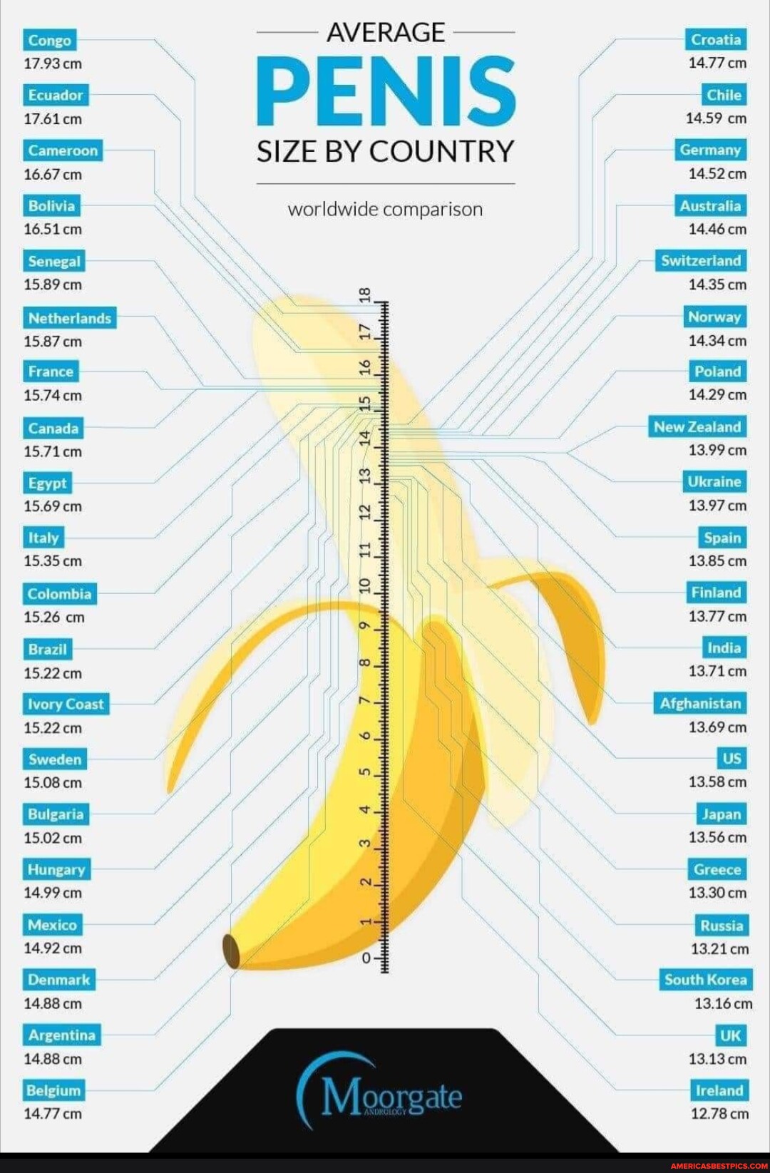 AVERAGE PENIS Congo 17.93cm Ecuador 17.61cm 16.67cm SIZE BY COUNTRY Bolivia  worldwide comparison