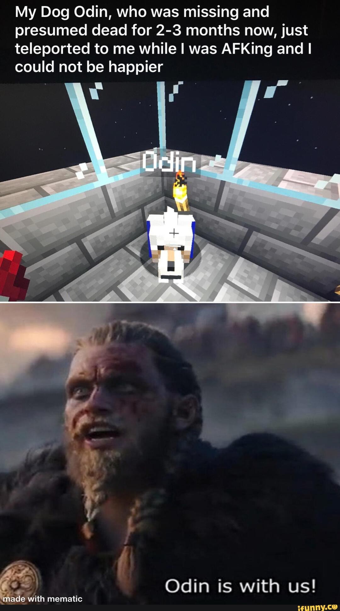 My Dog Odin, who was missing and presumed dead for 2-3 months now, just teleported to me while I was AFKing and I could not be happier
Odin is with us! with mematic