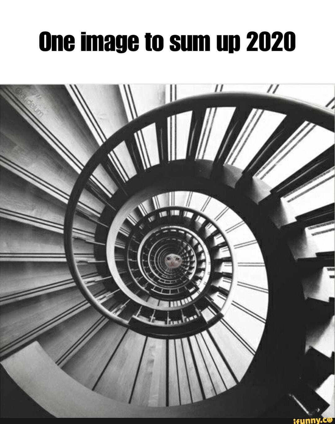 One image to sum up 2020