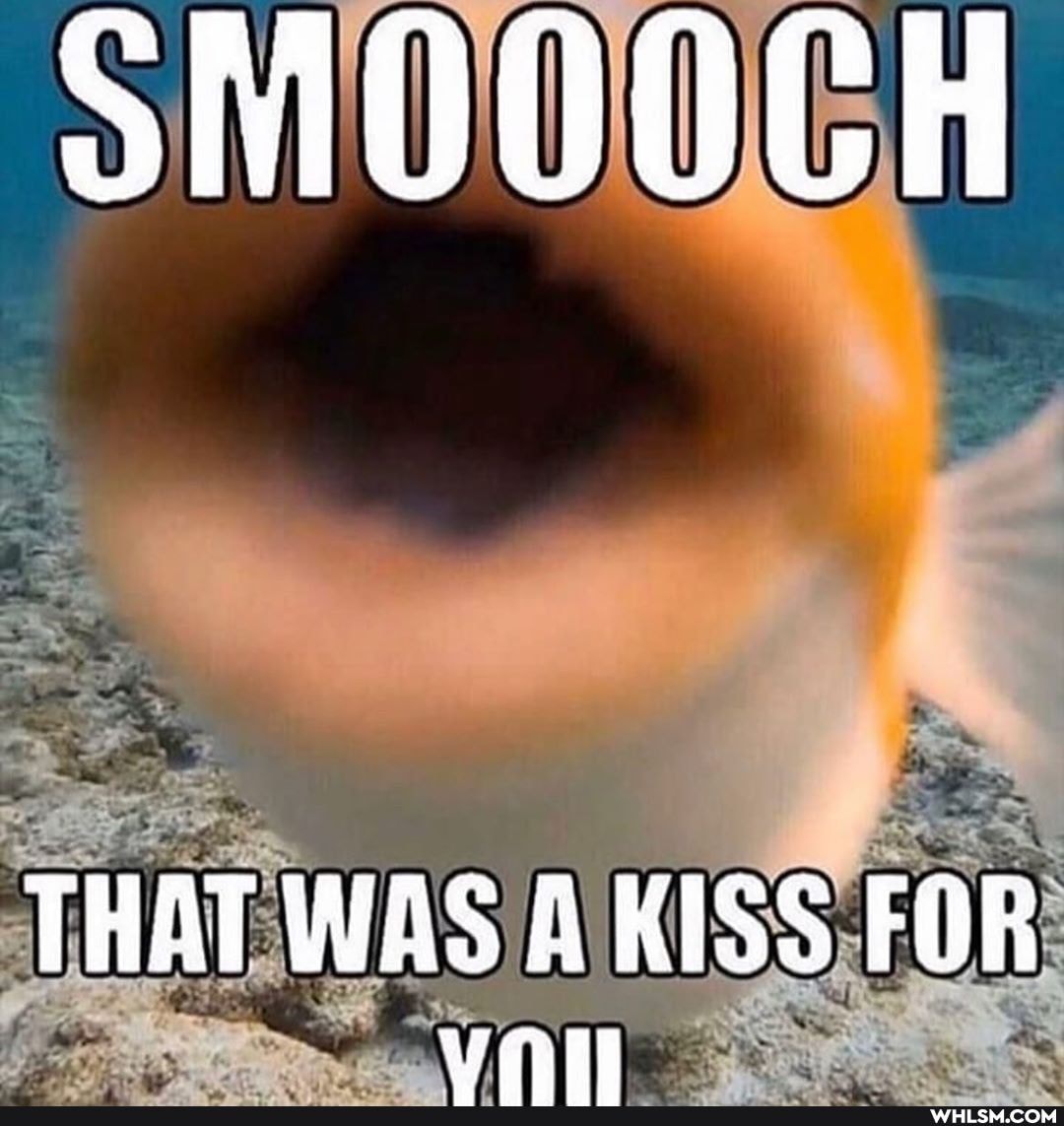 MOOOCH
THAT WAS AKISS FOR
