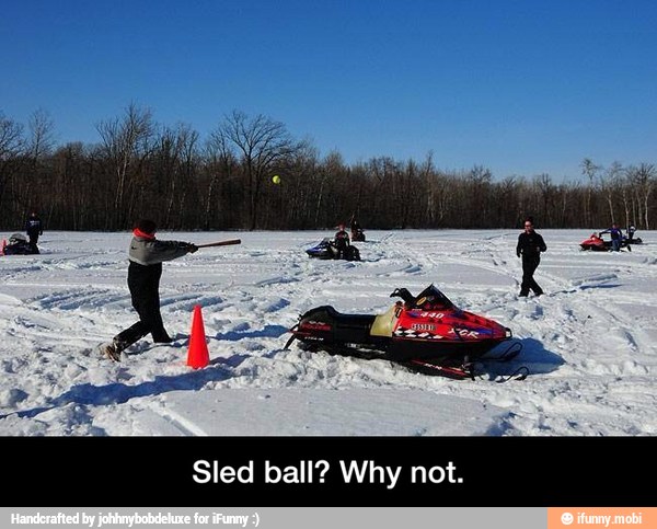 Sled ball? Why not. - Sled ball? Why not.