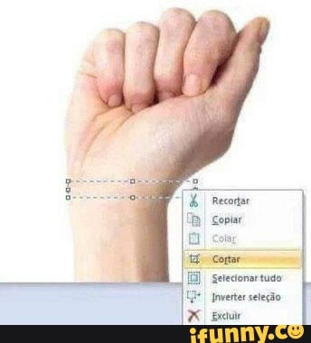 XGERIDS aco
Recortar
Copiar
Cortar
Selecionartudo
Imverter seleção