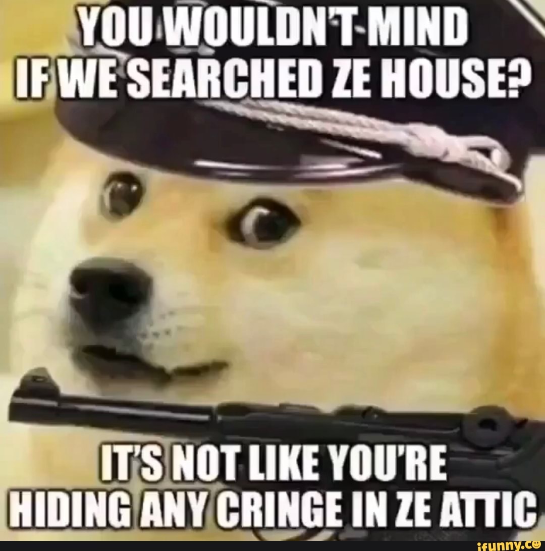 YOU WOULDN'T MIND IF WE SEARCHED ZE HOUSE?
ITS NOF LIKE YOURE HIDING QNY CRINGE IN ZE ATTIC