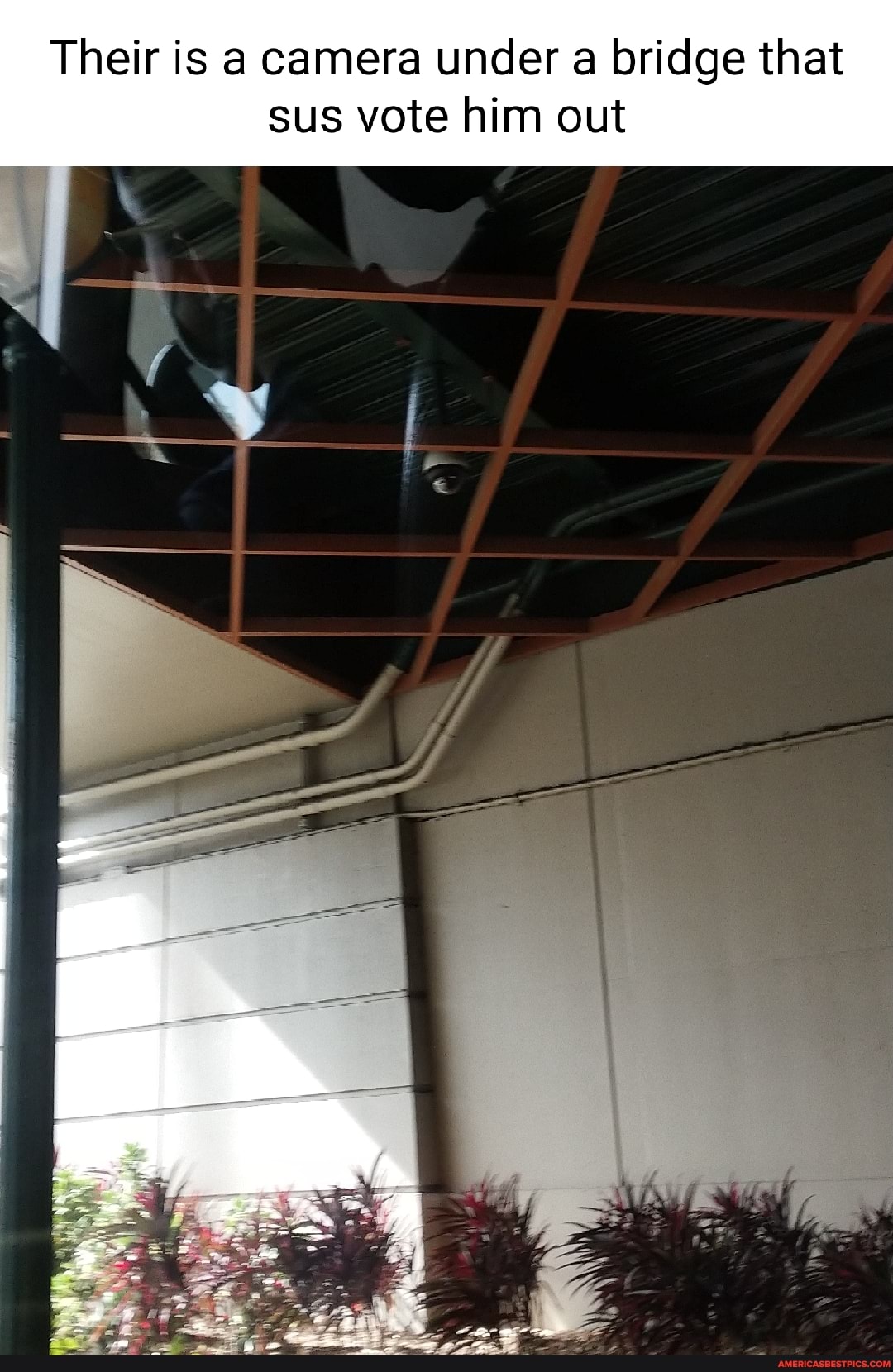 Their is a camera under a bridge that
sus vote him out