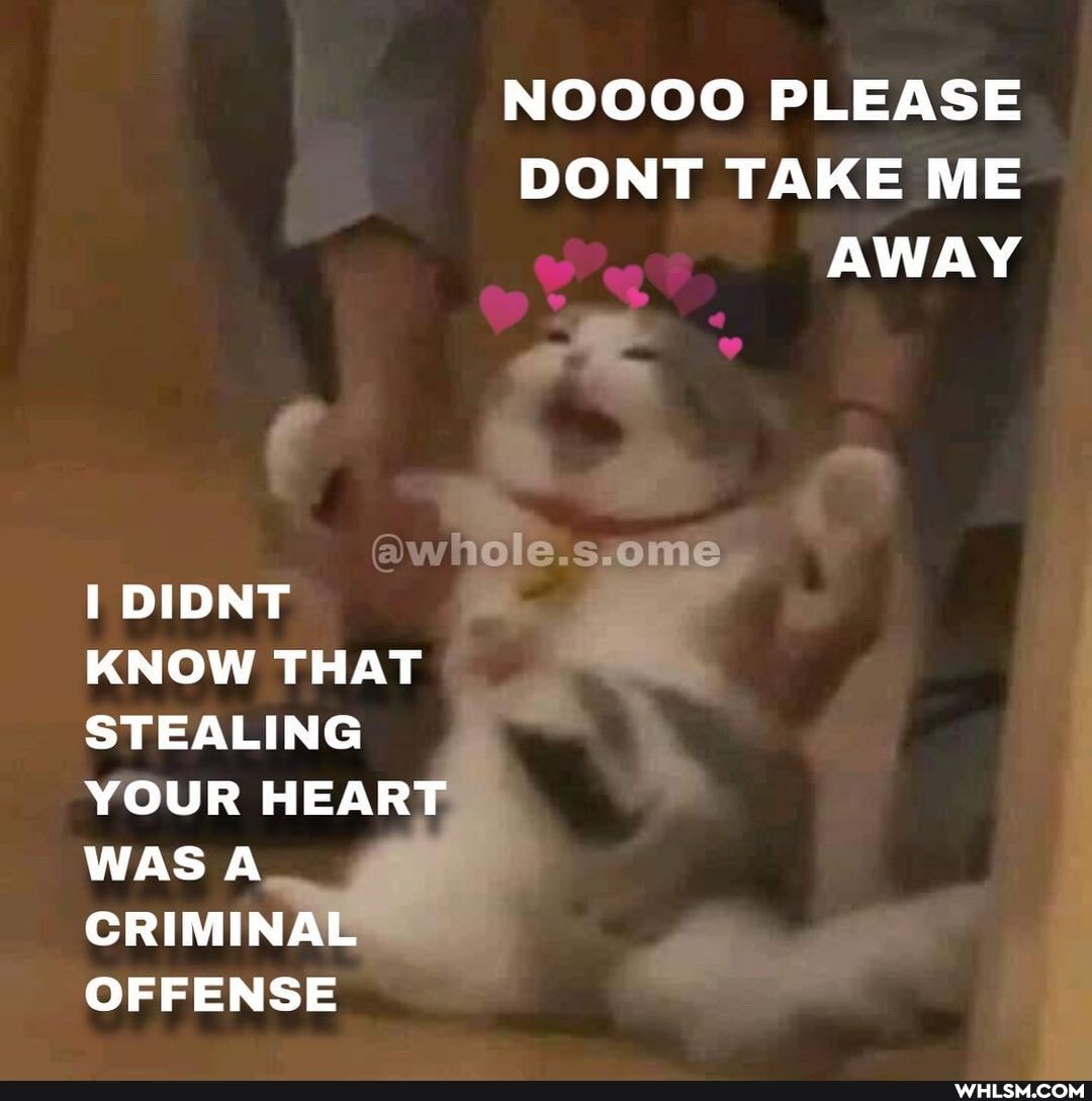 NOOOO PLEASE DONT TAKE ME AWAY
hole.s.ome
DIDNT KNOW THAT STEALING YOUR HEART WAS A CRIMINAL OFFENSE