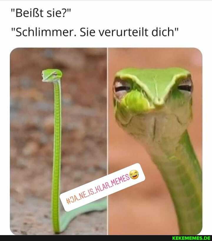 "Beißt sie?"
"Schlimmer. Sie verurteilt dich"