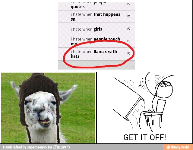 I Hate When P I Hate When Llamas With Hats