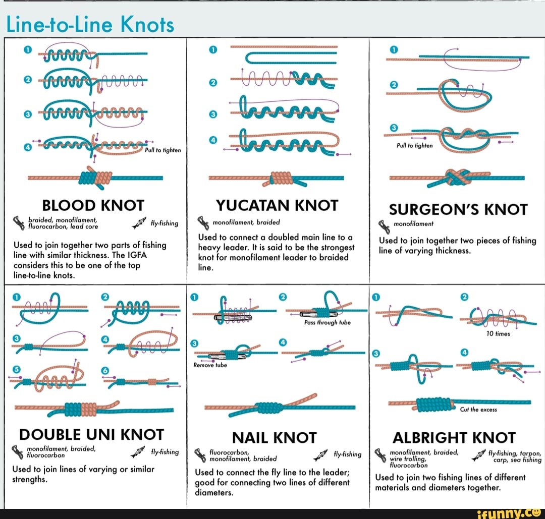 Line-to-Line Knots BLOOD KNOT braided, monofilament, core fly-fishing ...