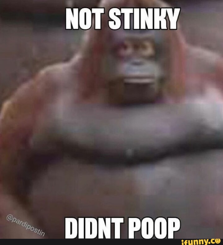 Humor Images Stinks Stinky memes. Best Collection of funny Stinky pictures on iFunny