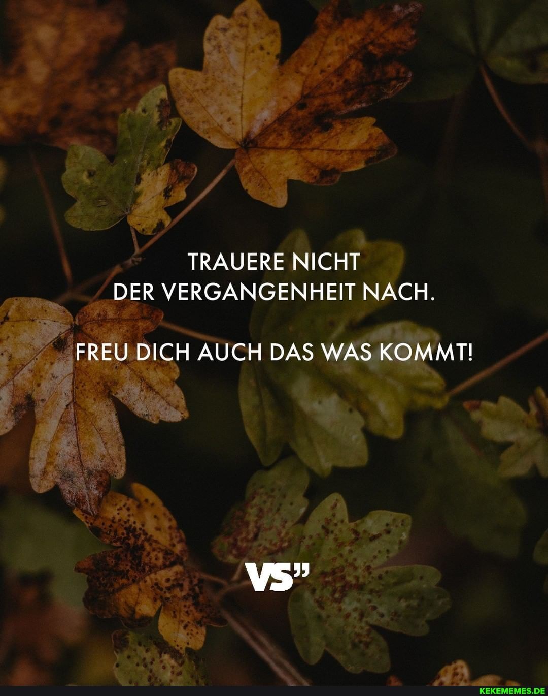 TRAUERE NICHT DER VERGANGENHEIT NACH.
FREU DICH AUCH DAS WAS KOMMT!