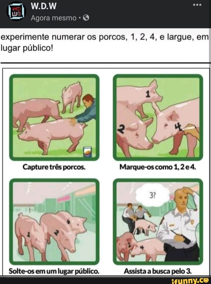 W.D.
Agora mesmo *
experimente numerar os porcos, 1, 2, 4, e largue, em lugar público!
Capture três porcos. Marque-os como 4.
N f
Solte-os em um lugar público. Assista a busca pelo 3.
