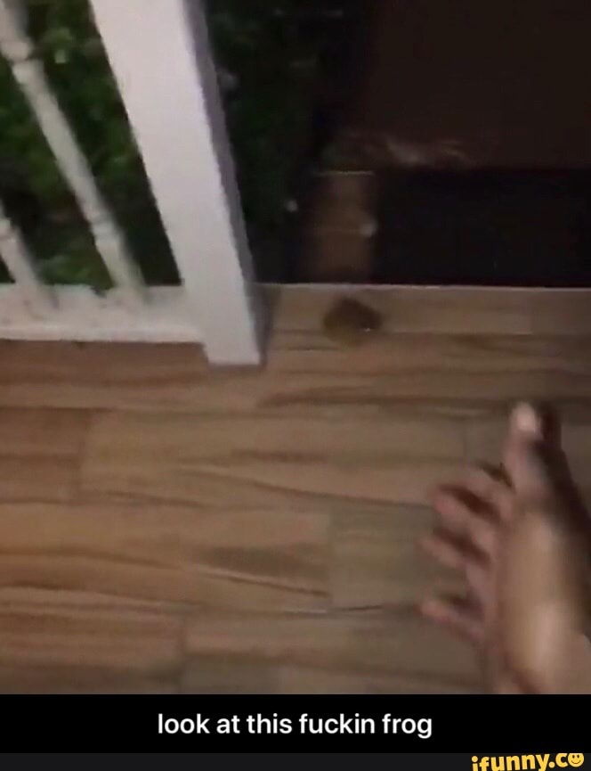 look at this fuckin frog - look at this fuckin frog