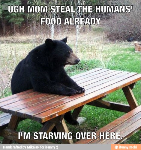 I'M STARVING
OVE