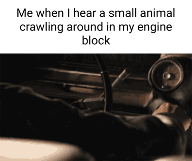 Me when hear a small animal crawling around in my engine block - iFunny