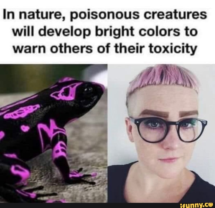 In nature, poisonous creatures will develop bright colors to warn