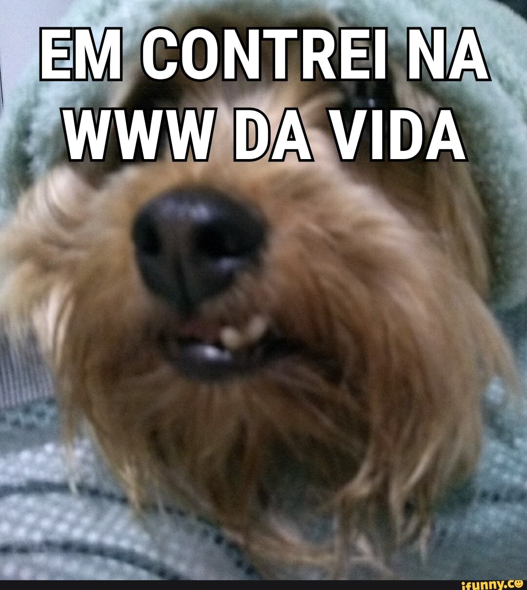 EM CONTREI NA WWW DA VIDA
