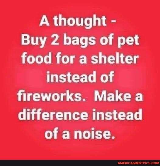 Buy 2 bags of pet food for a shelter instead of fireworks. Make a
