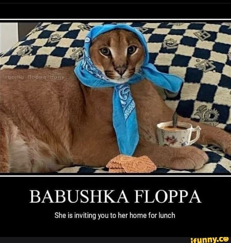 BABUSHKA FLOPPA She Is Inviting You To Her Home For Lunch - IFunny