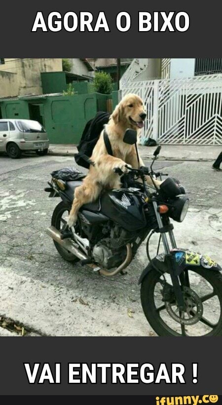 AGORA O BIXO