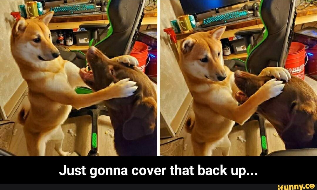 Just gonna cover that back up... - Just gonna cover that back up...