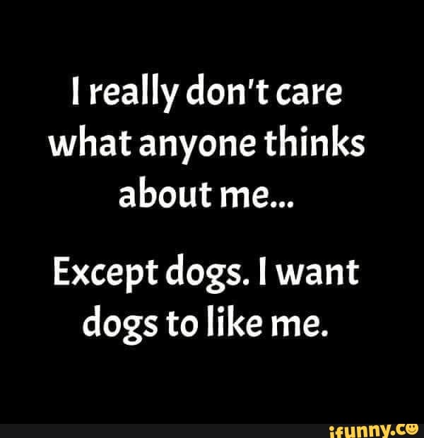 Really don't care what anyone thinks about me... Except dogs. want dogs ...