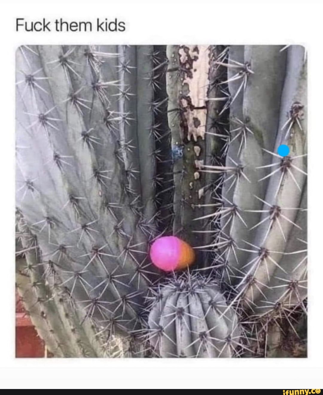 Fuck them kids
IN