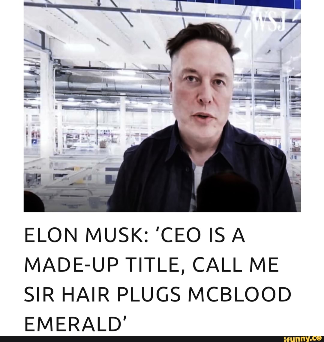 ELON MUSK: 'CEO IS A MADE-UP TITLE, CALL ME SIR HAIR PLUGS MCBLOOD ...