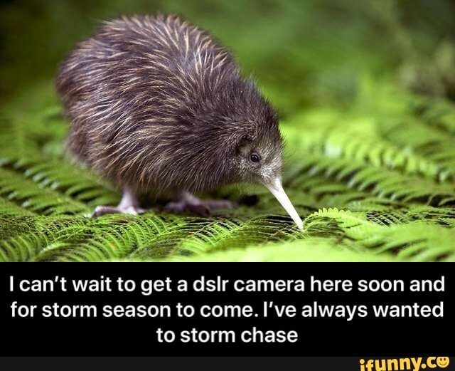 I can't wait to get a dslr camera here soon and
for storm season to come. I've always wanted
to storm chase - I can’t wait to get a dslr camera here soon and for storm season to come. I’ve always wanted to storm chase