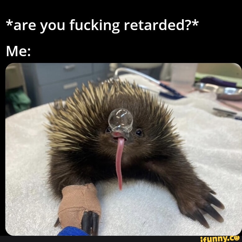 Rare IGN WW OPINION AFTER CONCORD, IT'S TIME FOR SONY TO BRING BACK