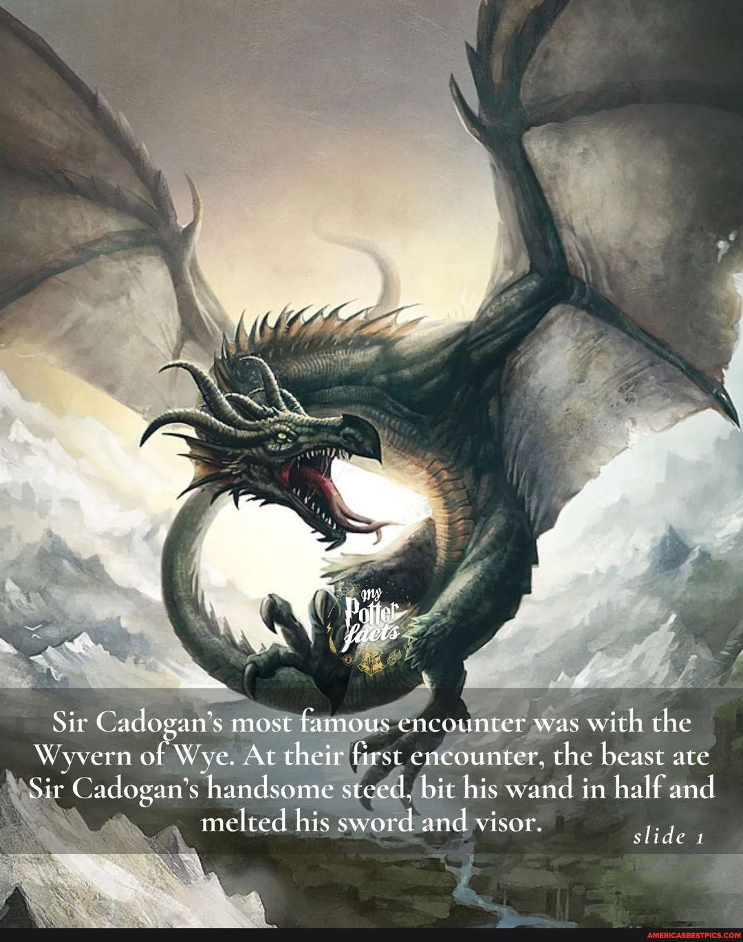 Sir Cadogan's most famous encounter was with the Wyvern of Wive. At ...