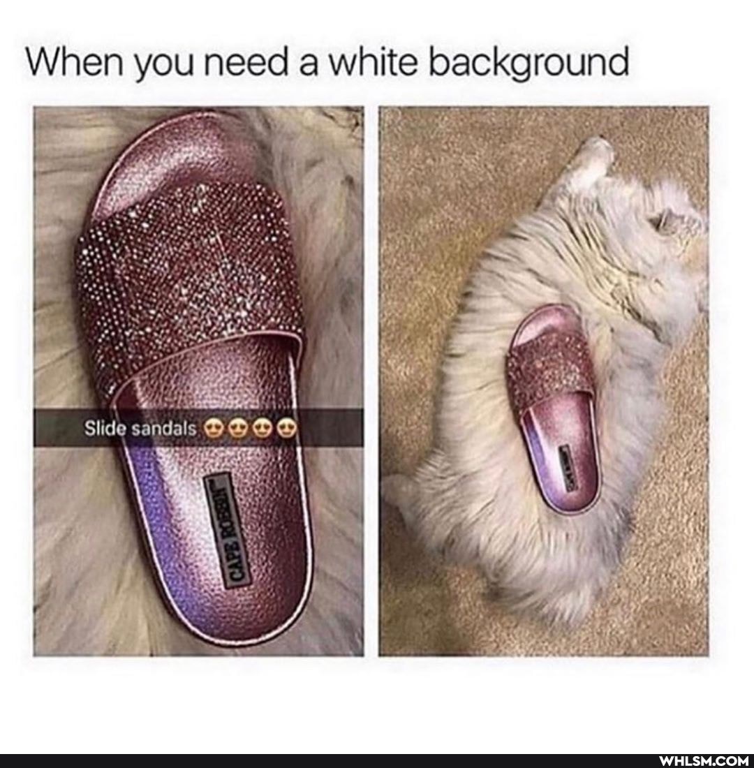 When you need a white background