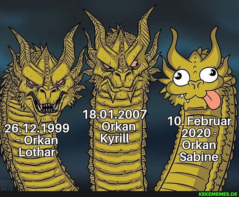 26.12.1999
- Orkan
Lothar
18.01.2007
- Orkan
Kyrill
10. Februar
2020-
Orkan
Sabine