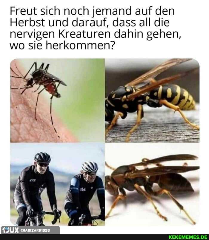 Freut sich noch jemand auf den
Herbst und darauf, dass all die nervigen Kreaturen dahin gehen, wo sie herkommen?