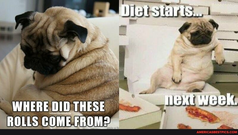 Diet starts...
WHERE DID THESE exii week,
ROLLS COME FROM?