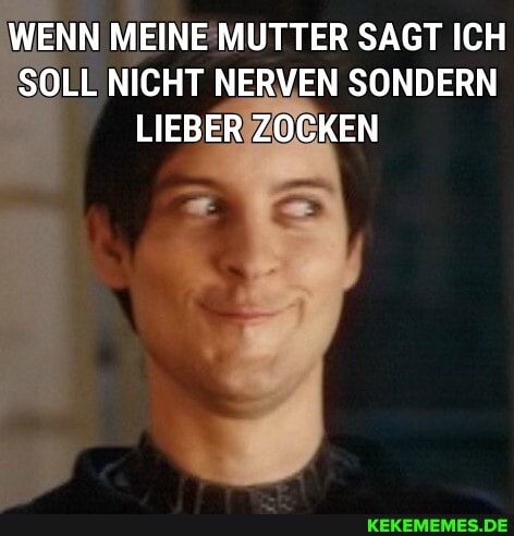 WENN MEINE MUTTER SAGT ICH SOLL NICHT NERVEN SONDERN LIEBER ZOCKEN